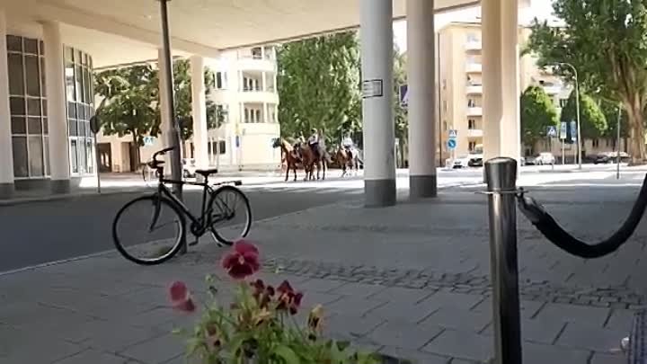 Швеция, Стокгольм, июль 2019, конная полиция