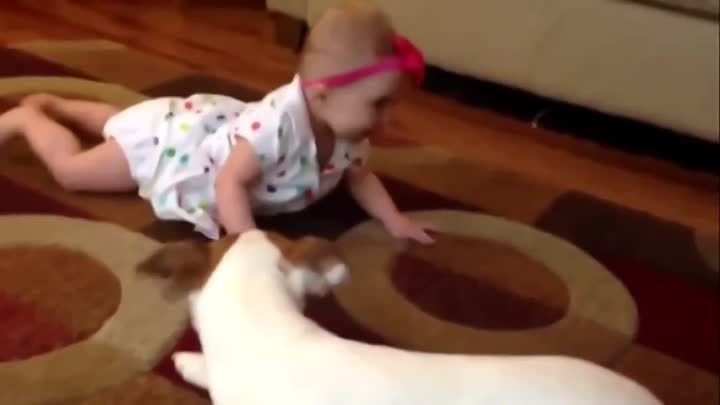 Собака учит ребенка как нужно ползать