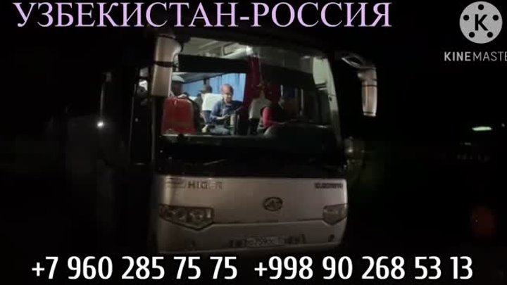 Ташкент Москва автобус 