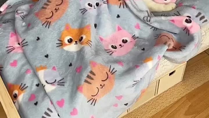 Котику тоже нужна своя кроватка