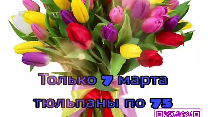 🌷🌷🌷С НАСТУПАЮЩИМ МИЛЫЕ ДАМЫ 🌷🌷🌷