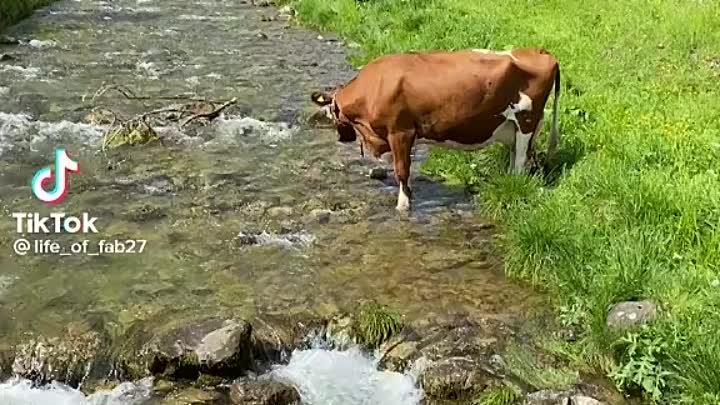 Швейцария ❤️