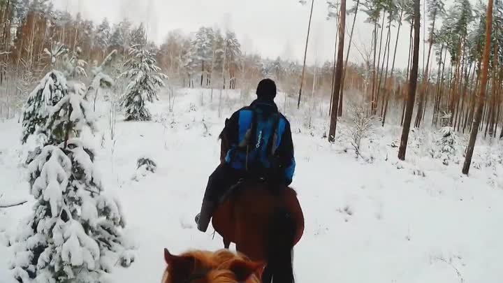 Зимняя прогулка на лошадях