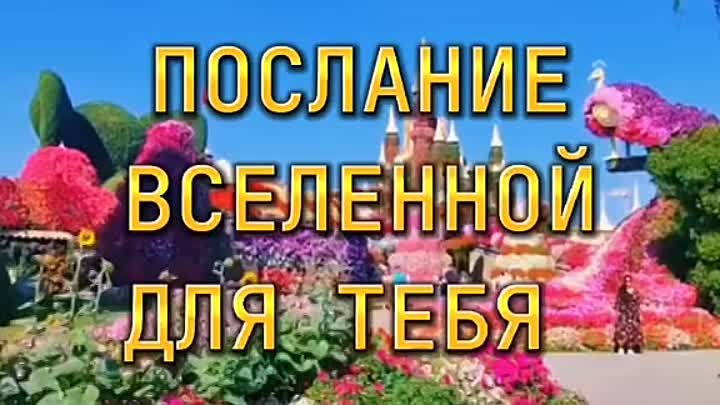 Відео