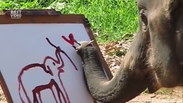 Даже слон рисует лучше меня... 😕