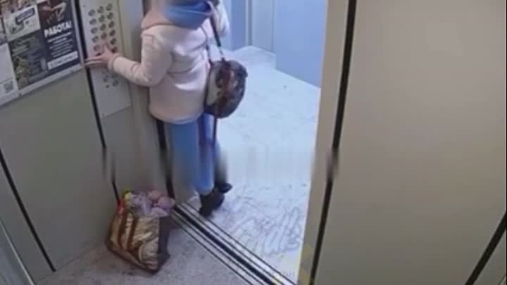 Девушка зашла пописать. Девушка в лифте. Девчонка в лифте. Девушка в лифте застряла с собакой.
