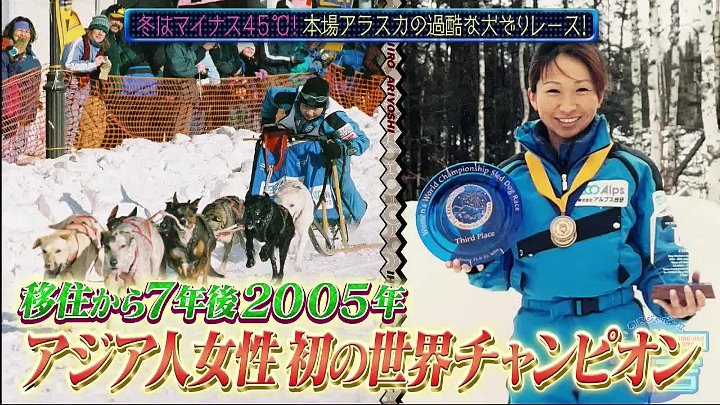 有吉ジャポンII 動画 初心者ＯＫ！犬ぞりレースに挑戦  | 2023年3月3日