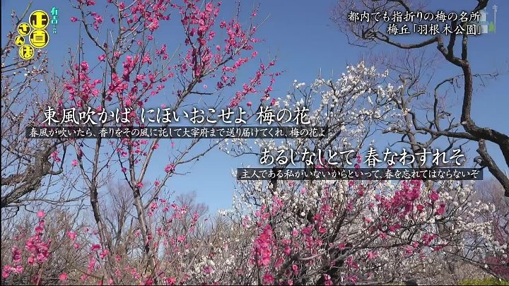 ぶらサタ・有吉くん 動画  ドラマで話題の人気エリア代田・梅丘で聖地巡礼 | 2023年3月4日