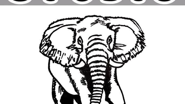 Слон - простой рисунок для начинающих
