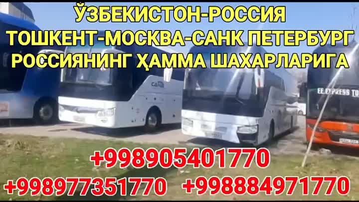 Ташкент-краснодар автобус
