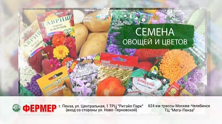 Уже в продаже. Различные СЕМЕНА в магазинах "ФЕРМЕР"