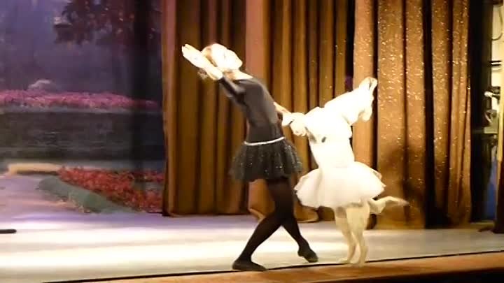 Парный балетный танец с собакой вызвал бурные аплодисменты зрителей
