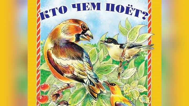 книги о птицах