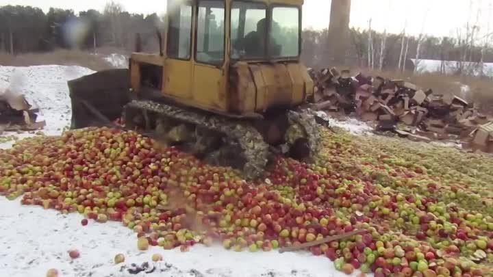 Челябинская таможня давит яблоки