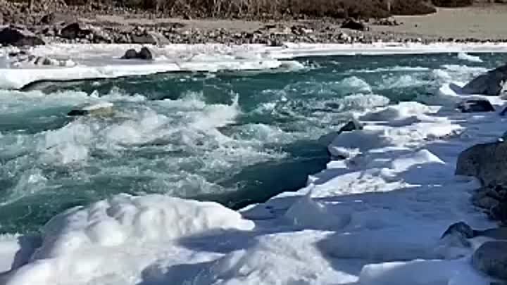 Видео от Алтай Золотой (1)