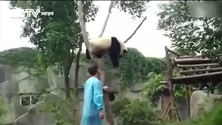 Сними меня с дерева!