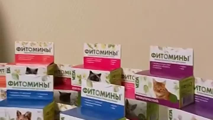 Фитомины для кастрированных котов и стерилизованных кошек - назначен ...