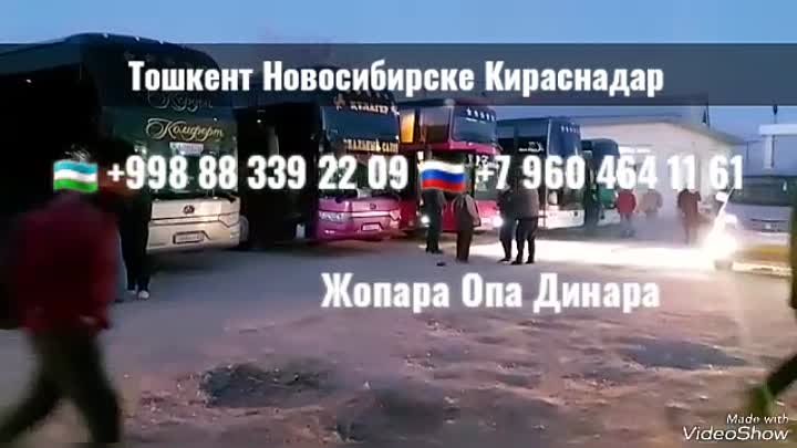 Тошкент Новосибирске Автобус Мурожат Учун Тел +998 88 339 22 09 +7 9 ...