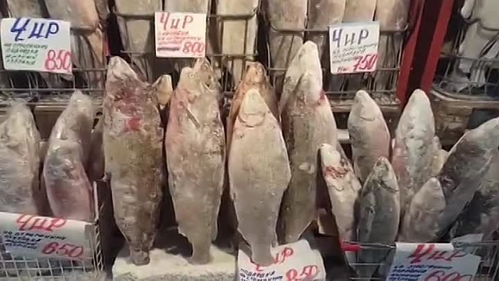 Рыбный рынок в Якутске