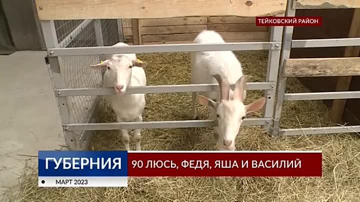 Программа «Губерния» выпуск 27.03.2023 20.30