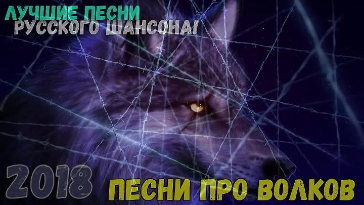 Добрый волки песню. Песни про Волков. Волки песня. Шансон про Волков. Песня про волка шансон.