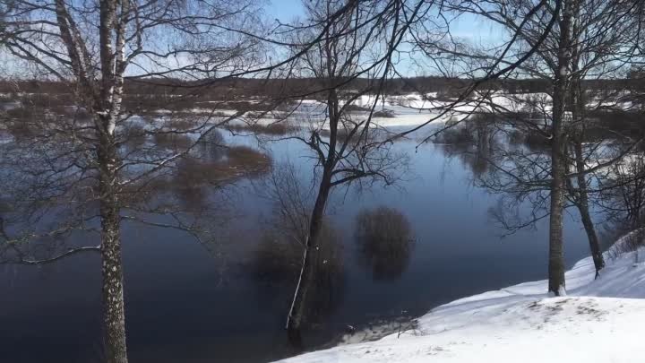 Озера и реки Пушкиногорья