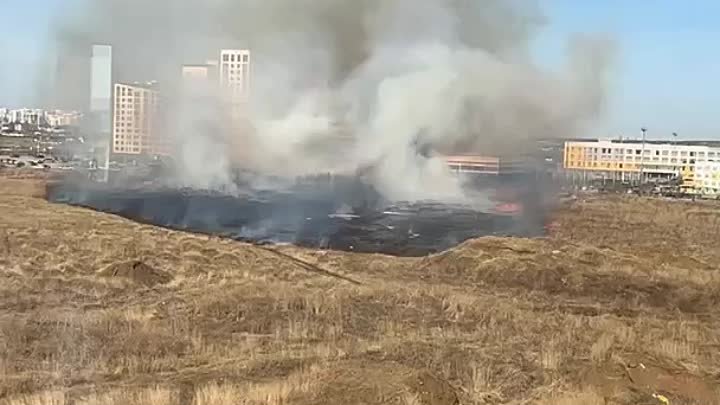 В Солнечном прямо сейчас крупный пожар – горит трава