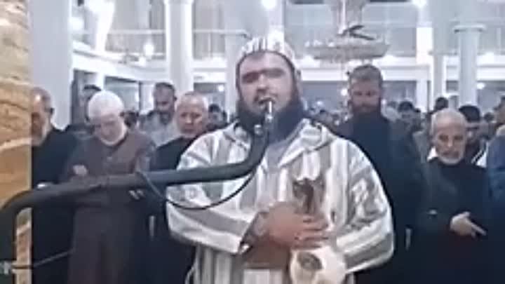 В Алжире кот запрыгнул на имама во время прочтения молитвы

Как видн ...