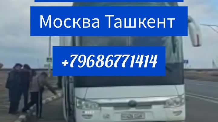 Москва Ташкент санкпетербург Ташкент таджикистан автобус+79688485757