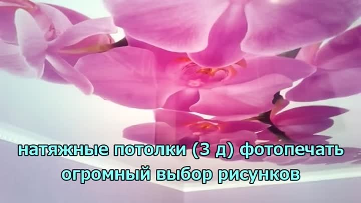 НАТЯЖНЫЕ ПОТОЛКИ п.ДОМБАРОВСКИЙ 89619404747