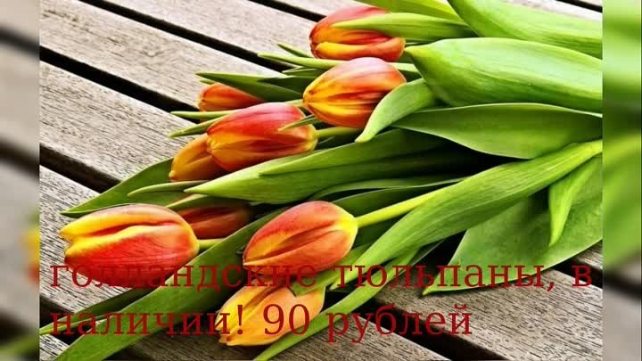 голландские тюльпаны, в наличии! 90 рублей