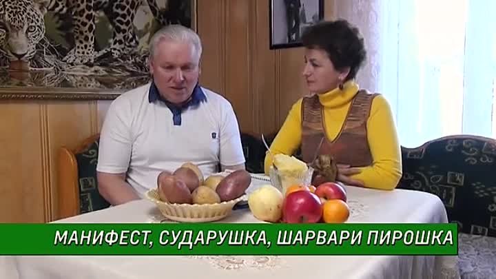 Самые урожайные сорта картофеля