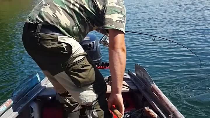 Рыбалка август  2018!