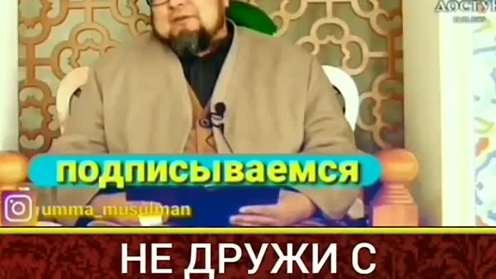 Дружба 01.mp4