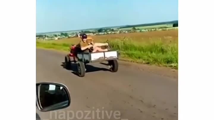 Красиво жить не запретишь😂😉