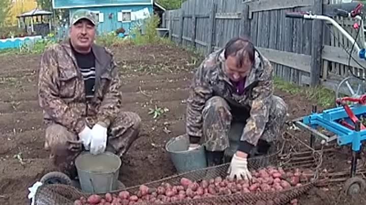 Изобретение  для сборки картошки