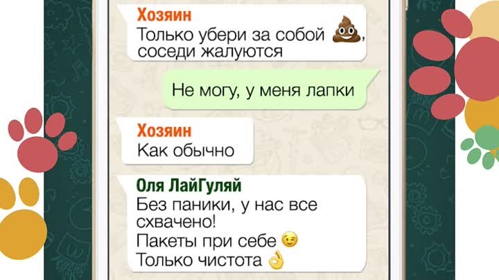 WhatsApp ЛайГуляй