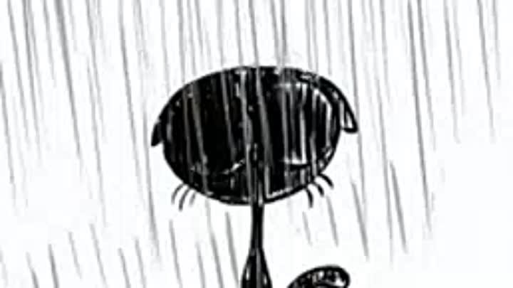 pouring-rain