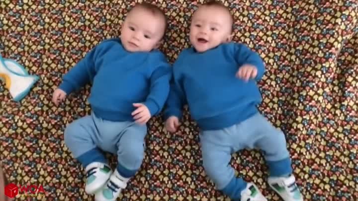 Смешные близнецы танцуют, подборка
