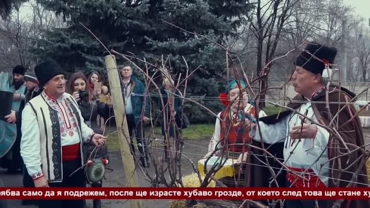 болгары в Молдове