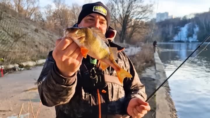 Открыл сезон в Москве! Секрет клёва окуня!