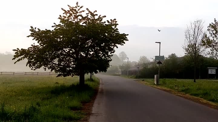 Утренния прогулка. 