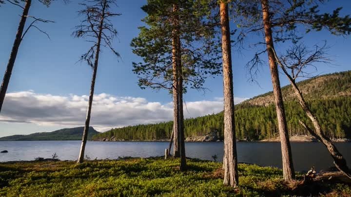 Kрасота шведской природы