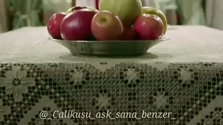 Çalıkuşu (1)