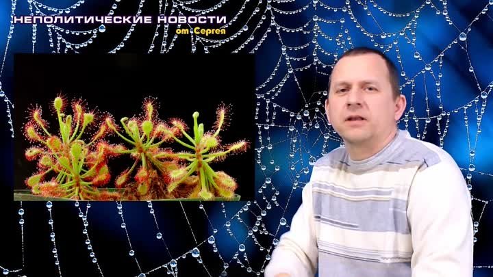 Выпуск 13. Растения хищники