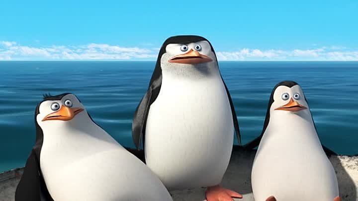 Pinguinii Din Madagascar