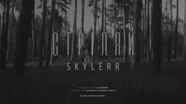 Skylerr - Стріляй