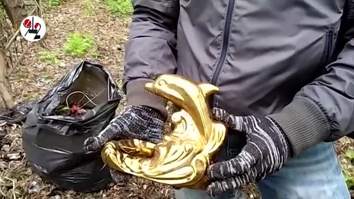 На кладбище нашли золотого дельфина