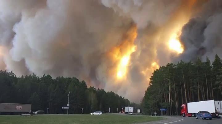 Лесные пожары в Тюмени