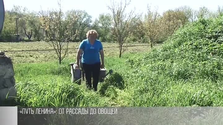 «Путь Ленина» – томаты и арбузы из Хрустовой